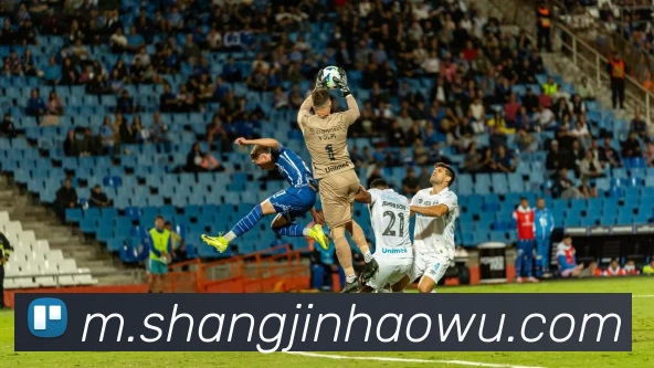 奖项2